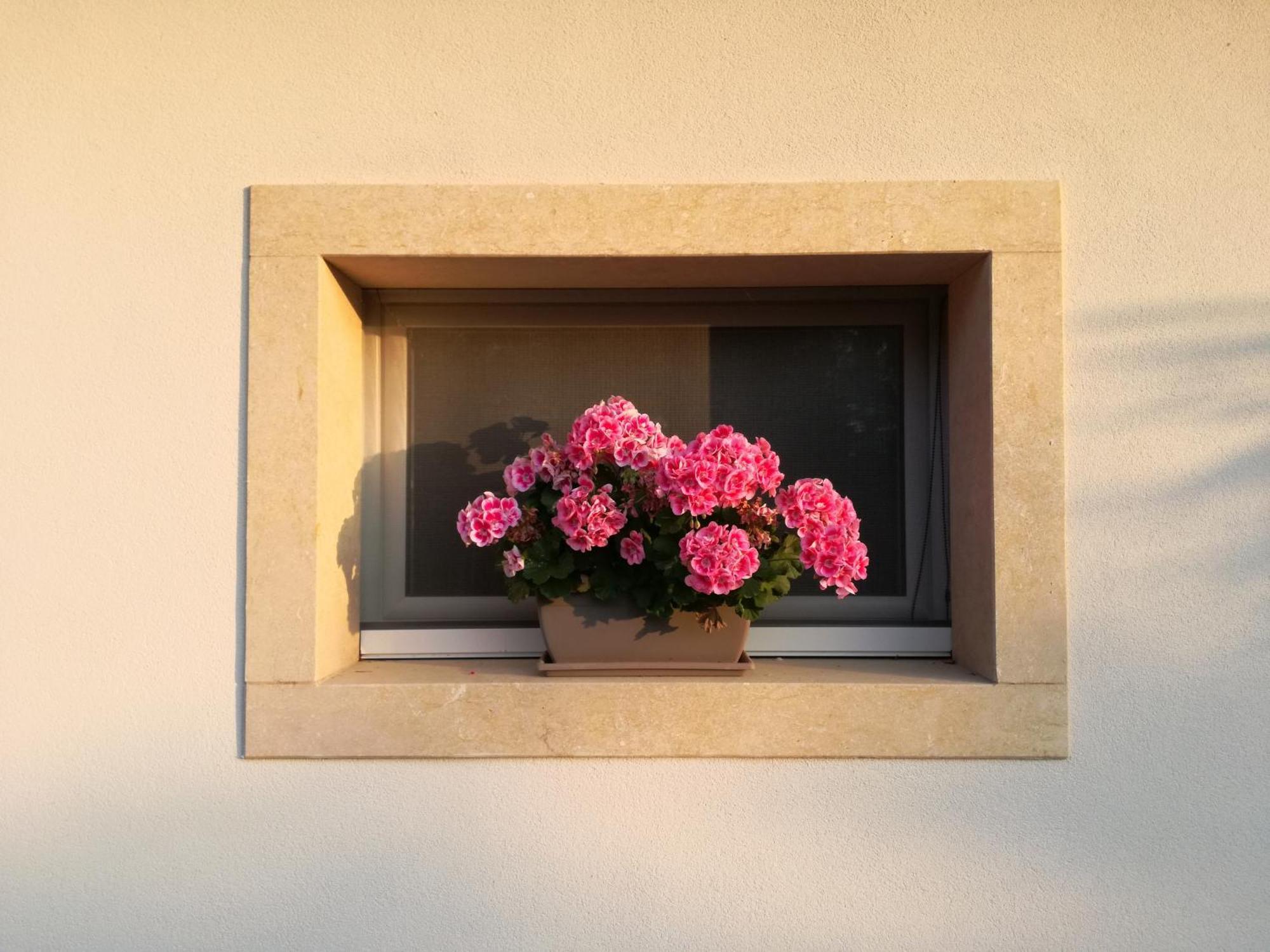 Relais Colle San Giorgio Bed and Breakfast Bardolino Buitenkant foto